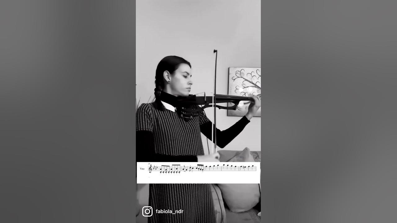 WEDNESDAY (VIOLIN SHEET MUSIC)🎻(Paint it black The Rolling Stones) 
