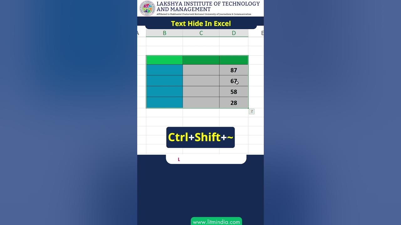 Text hide in excel how to hide text in excel short excel youtube