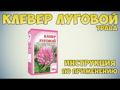 Клевер луговой трава инструкция по применению препарата: Показания, как применять, обзор препарата