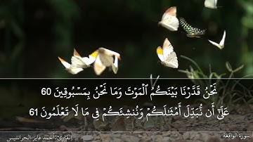 الصفحة 536 سورة الواقعة بصوت القارئ المهندس أحمد فايز الحراسيس