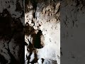 #shorts grotta di villa Olmo Como/пещера виллы Ольмо озеро Комо