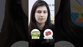 Cell Wall Vs Plasma Membrane – What’s the Difference? 🔍 #shorts