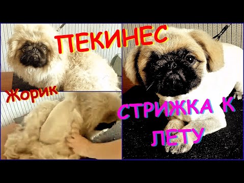 Видео: Груминг плейлист: Музика, която да помогне на мъжа да се приготви сутрин