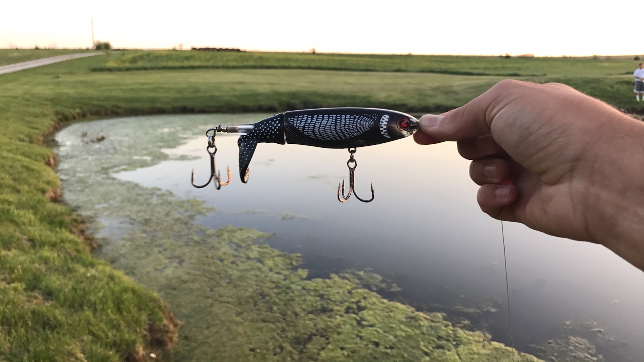 Pond Topwater Fishing YouTube