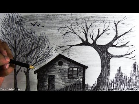 How to draw a scenery house in forest step by step - YouTube