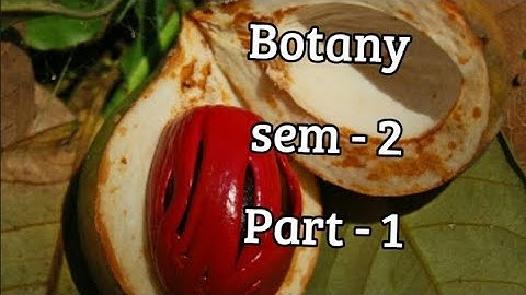 Kerala University BSc Botany previous questions -  BOTANY - Part - 1 (sem 2)