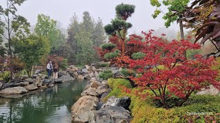 картинка: Парк Облаков и Японский сад в Сентябре🍂🍁Парк Галицкого