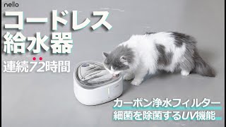 自動給水器がここまで進化！？猫のストレスを考えたnello(ネロ)コードレス自動給水器