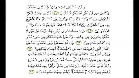 حفظ سورة البقرة من الآية(21)الى الآية(25)مكررة عشر مرات