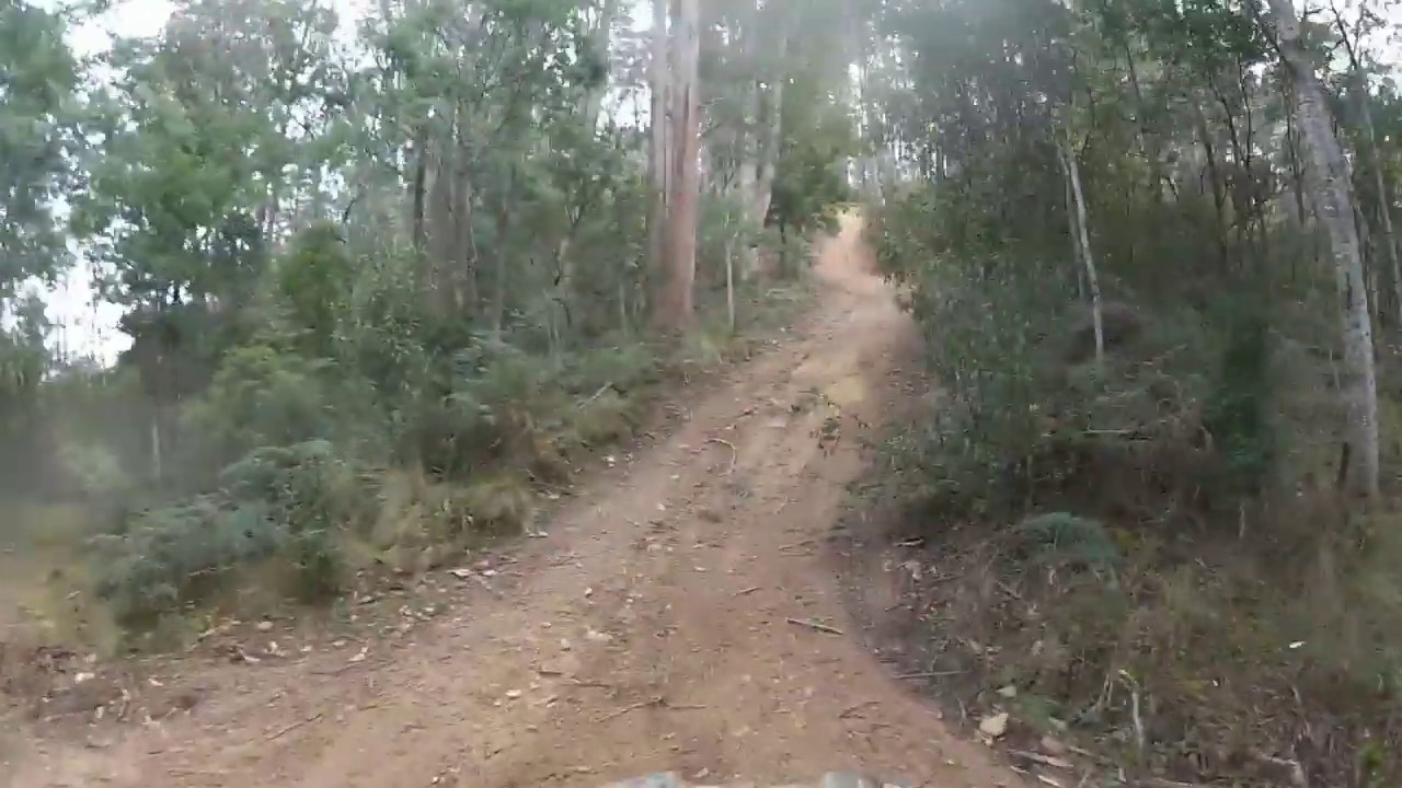 Can-am 800 on Chinamen's Hill, Mathina, Tasmania