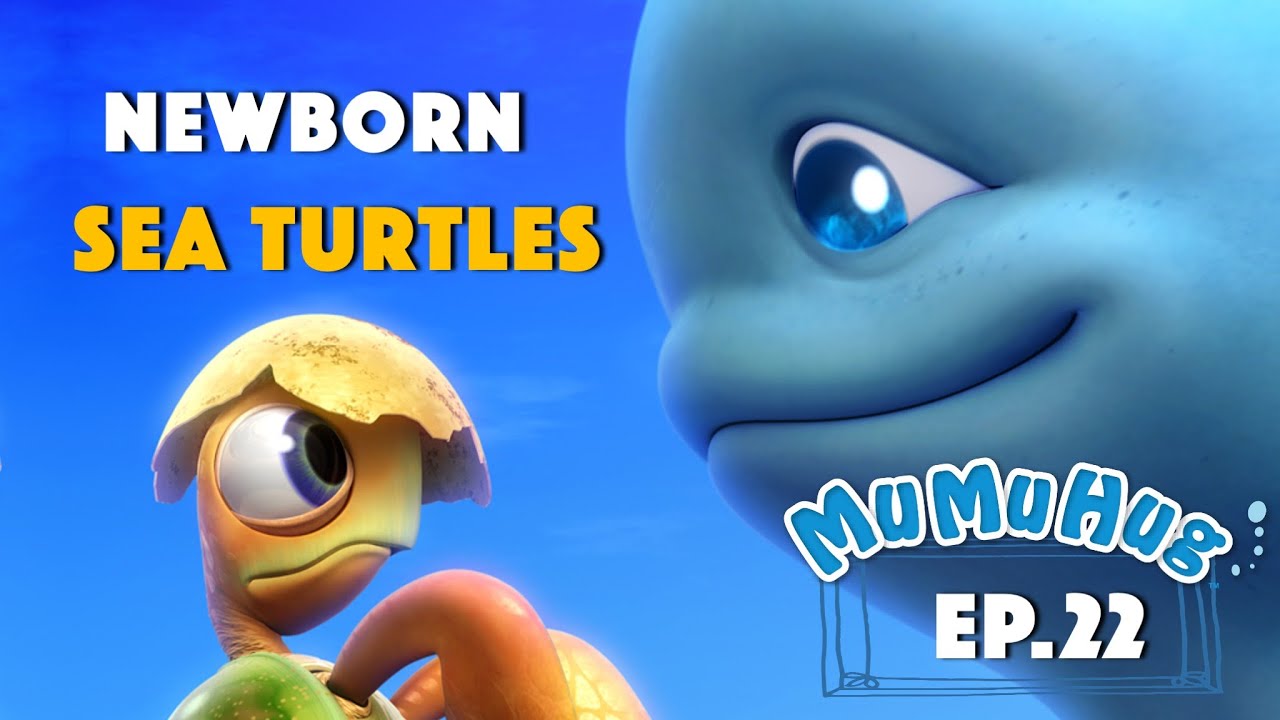New Born Sea Turtles 新生的小海龜 | MuMuHug World | 안아줘요 무무 | Муму абдымаць ...