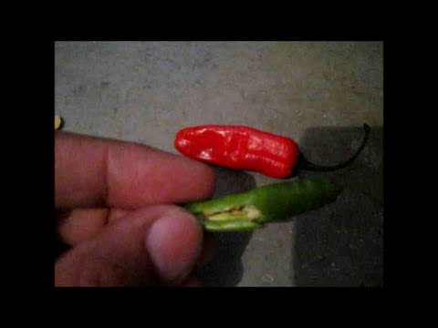 How To Relieve Pain From Touching Chili