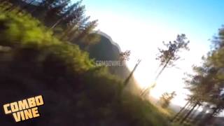 Combo Vine #25