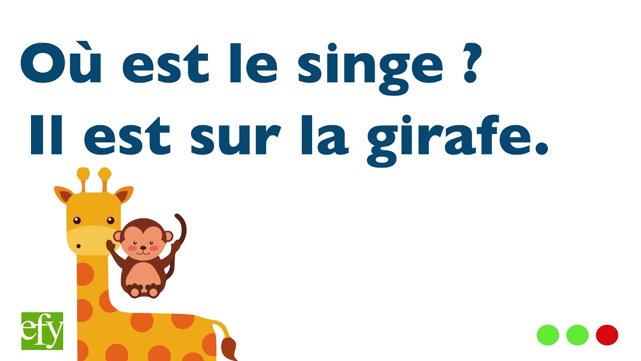 フランス語 単語集 動物１ Youtube