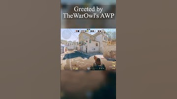 ran into @TheWarOwl dropping 80 kills in dm.