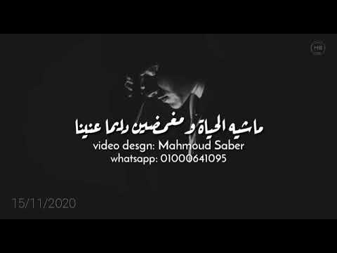 حالات واتس تامر حسني ماشية الحياة ومغمضين دائما عنينا