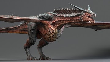 The Tyrant Rig fins setup