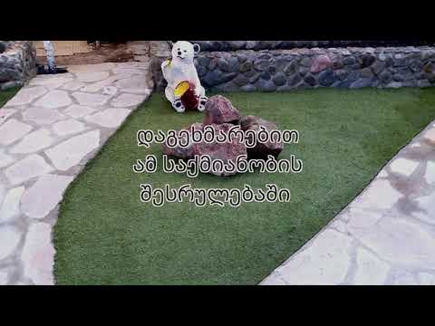 დროა იზრუნოთ ეზოს მოწყობაზე