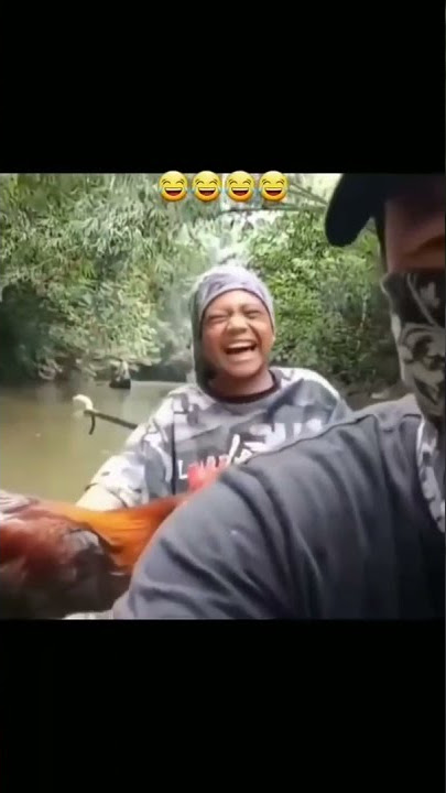 ayam berkokok#short#funnyanimals#ayamketawa#ayamserama