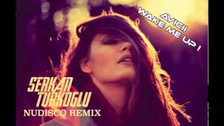 Avicii Wake Me Up ! (Serkan Turkoglu Nudisco Remix) Resimi