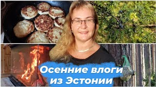 Осенние влоги с дачи.Влог каждый день из Эстонии.Как сделать вкусные сырники рецепт.Дачный блог