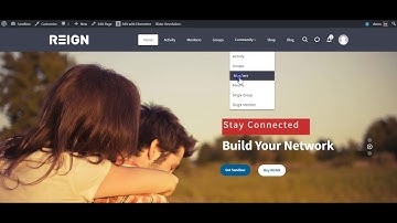 WordPress BuddyPress Theme Reign Demo Installation Create Your Own Community Social Network web site