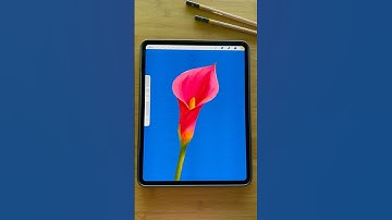 Easy Procreate Tutorial #procreatetutorials #procreate