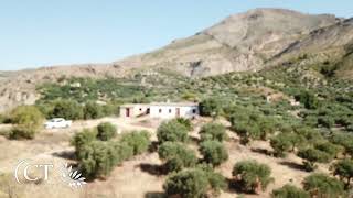 Sea View Land for Sale with Olive Grove in the Mountains