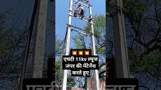 11Kv ल्यूज़ पॉइंट मेंटेनेंस 💥 #Electric #Electrical #Electrician #Shorts #Viral #Ramsinghlineman