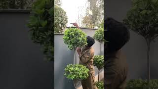 Electric fence system #india #electricalindia #electrician #electricalguru