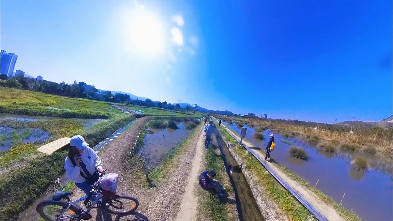 SUASANA DI PERSAWAHAN HONGKONG! 