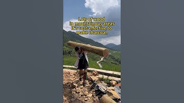 How to make natural wood charcoal with charcoal machine #charcoal#charcoalmachine#carbonized