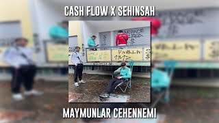 Cash Flow ft. Şehinşah - Maymunlar Cehennemi (Speed Up) Resimi