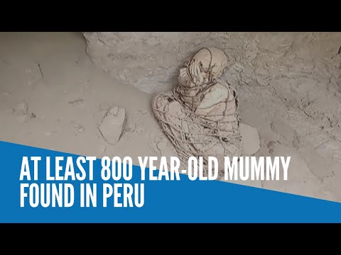 At least 800 year-old mummy found in Peru