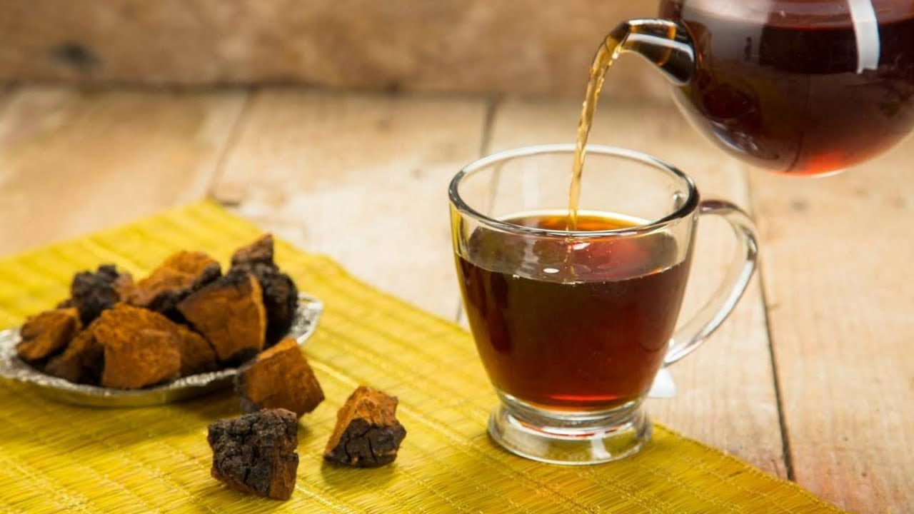 Чудодейственный ГРИБ ЧАГА: лечение бронхита, гастрита, диабета ...