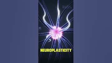 Full-Body Augmented Reality?