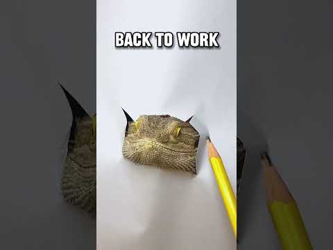 Drawing my Bearded