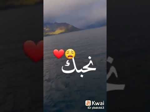 نحب نقلك كلمة Shorts 