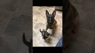 Phillies Land All-Star Closer Jhoan Duran Ahead Of Mlb Trade Deadline