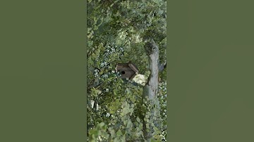 3D Environment scene in Blender for beginner #tutorial #3dcompositing #3dsmaxcourse