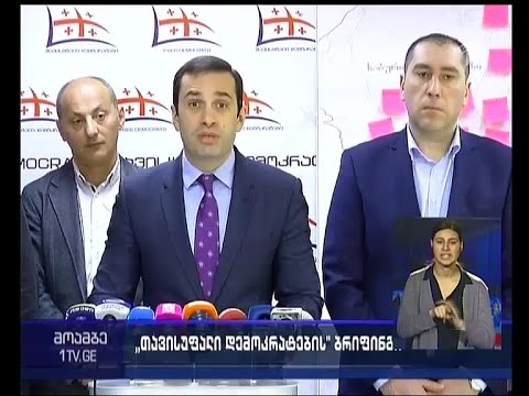 „მოქალაქის ხმა“ - „თავისუფალმა დემოკრატებმა“ პროექტი შეაჯამეს