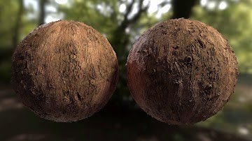 Materials - Gnarled Tree Bark