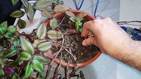 [Arduino] [Ethernet Shield] [Humidity Sensor] Email Notifier for humidity level