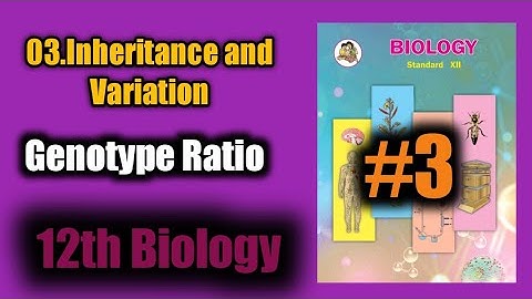 12th biology ll 03.Inheritance and variation ll lect.03 ll genotype ratio