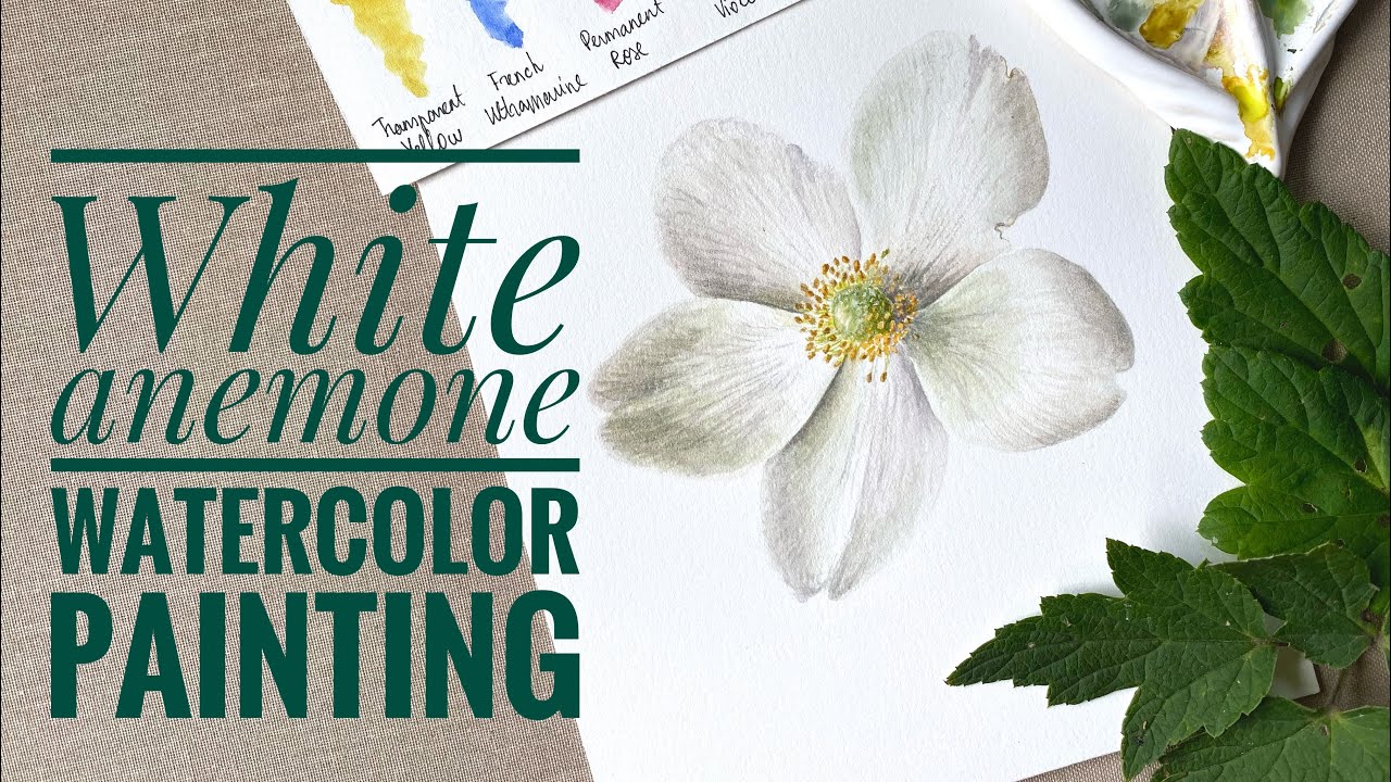 How to paint White Flowers with Watercolors White Anemone Painting