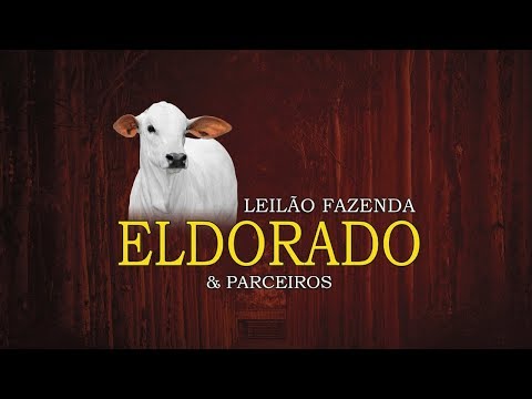 Lote 39 (Rhoma da Mundial - MUN 2950)