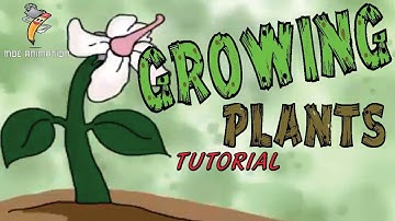Tutorial Membuat Animasi Proses Tanaman Tumbuh - ( Animasi Adobe Flash )
