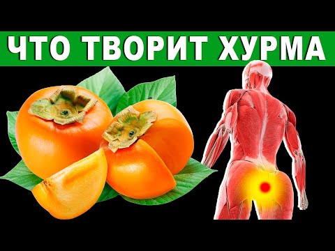 Вот ЧТО Будет, ЕСЛИ есть ХУРМУ каждый день?