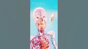 Motion Sickness Explained 🤢  #shorts #health #science #explained #medical #motionsickness