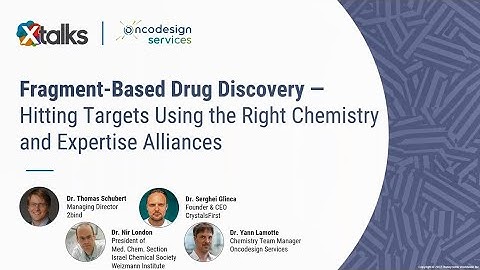 Fragment-Based Drug Discovery—Hitting Targets Using the Right Chemistry & Expertise Alliances